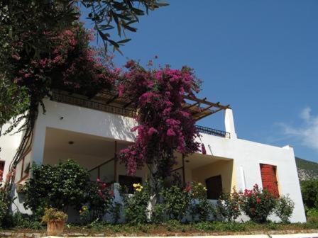 Epidaurus Hotel Heleni Apartments מראה חיצוני תמונה