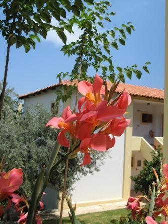 Epidaurus Hotel Heleni Apartments מראה חיצוני תמונה